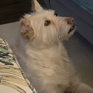 Fundraising Page: Joseph Seeger